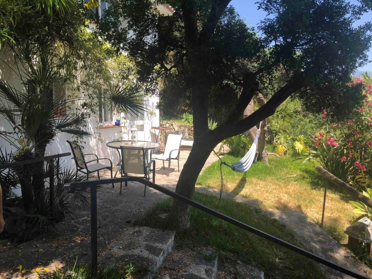 Casa Simba (adults Only) Maison d'hôtes Estepona