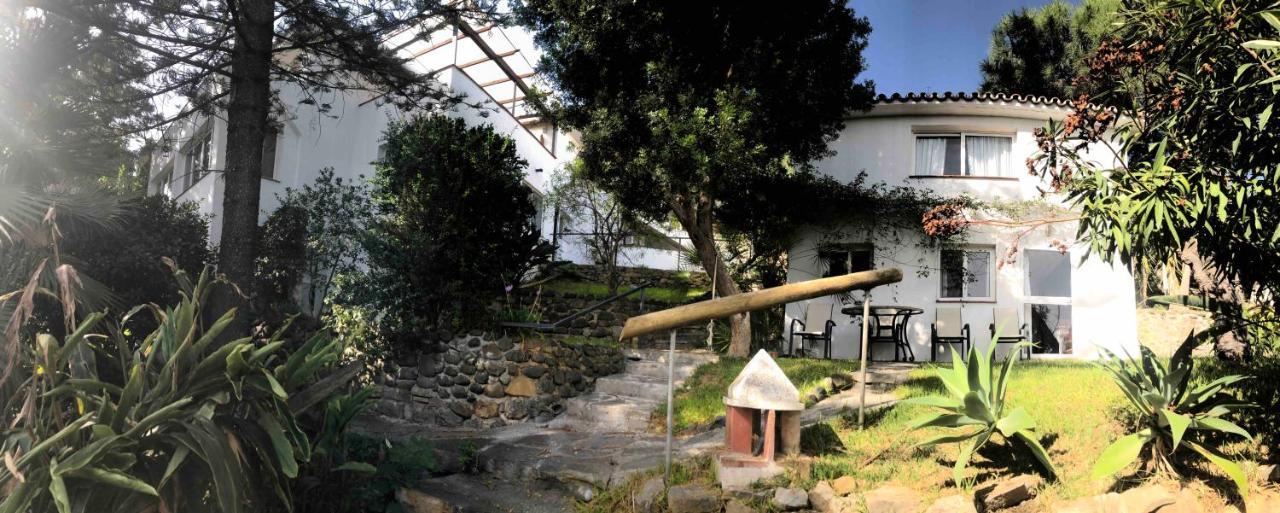 Maison d'hôtes Casa Simba (adults Only)